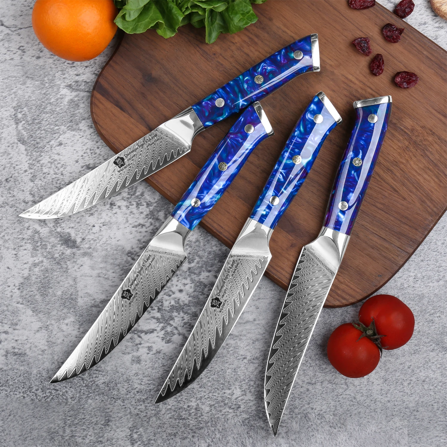 Non-Serrated Steak Knife Set of 4 – Japanese Damascus VG10 Steel with Full Tang Resin Handle"